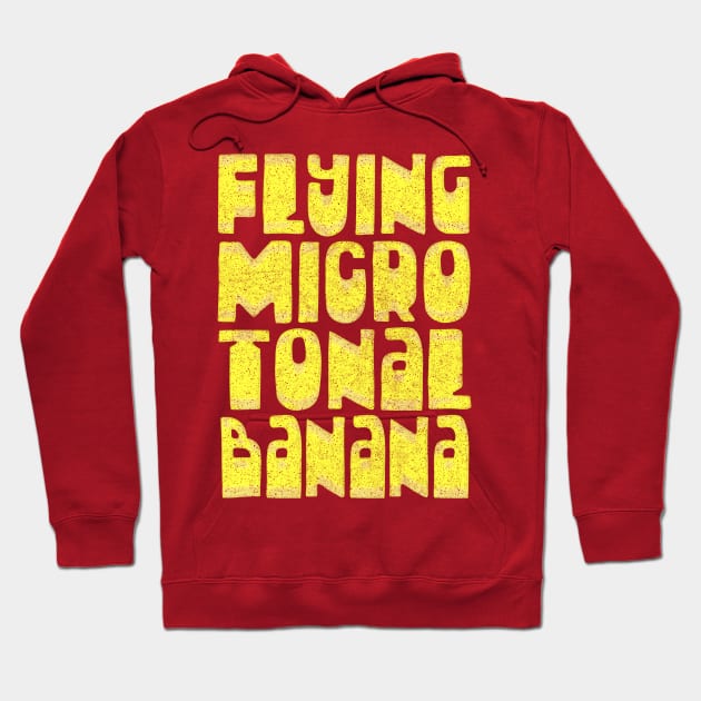 \/\/\/\ Flying Microtonal Banana \/\/\/\ Hoodie by DankFutura